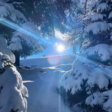 Wilder Kaiser By Managers Kitzbühel